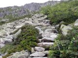 steile Felstreppe im Aufstieg zur Bachseehtte