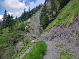 Felssturzgebiet Nähe Schibehüttl, Juni 2023
