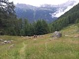 Alpage Artillon oberhalb Vallon de Rchy, Juli 2023