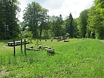 Picknickplatz an der Ruine des Klosters
                        Beerenberg Wlflingen