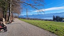 Jakob-Ess-Weg oberhalb Meilen, Blick über den Zürichsee, Feb.24