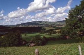 Bild: Ruedi
                  Flueler