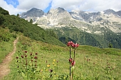Alpe
                  di Formazzora; Bild W.Fischer