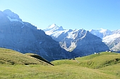 Blick vom
                  First oberhalb Grindelwald; Bild W.Fischer