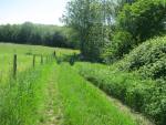 Hier herauf kommen wir auf dem Wiesenweg bei
                Bretonnières