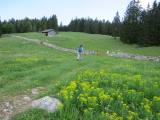 Trockensteinmauern
                  bei Les Pièces oberhalb Bioux