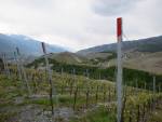 Rebberge und Hügel Tsapouige vor Miège