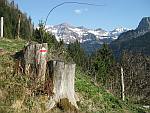 Blick zum Brienzer
                  Rothorn