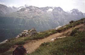 Engadiner Hhenweg
                    ob Celerina