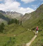 Weg zur Alp Tasna