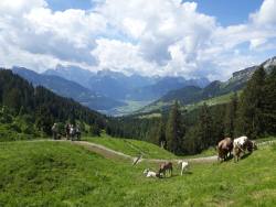 Alp Hüttlisboden, Blick zum Walensee und
                  ins Glarnerland