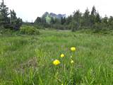 Naturschutzgebiet Hinter Höhi, Ammler
                  Höhenweg