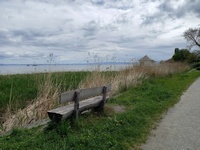 am Bodensee-Ufer bei Seedorf / Kesswil