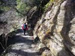 Tobelweg
                  mit Sandsteinfelsen, Nähe Gletscherhügel SG