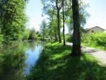 Weiher in Kempten
                  bei Wetzikon, Zrcher Oberland 