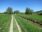 Kempten - Strandbad Auslikon; Weg am
                  Robenhuserriet entlang