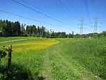 Wiesenweg
                  unterhalb Walig