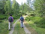 Heidelbeer- und Alpenrosen im Val Pozzuolo