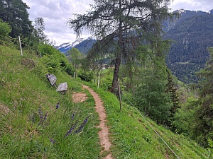 Höhenweg Mittenberg, kurz vor Maladers Höhenweg Mittenberg, kurz vor Maladers