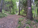 Wanderweg im Fürstenwald, Mai 2024 Wanderweg im Fürstenwald