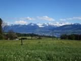 Panoramaweg mit Blick über
                  den Zürichsee, Mai 2017