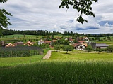 Blick vom Hooggen über das Dorf Freudwil, 2021