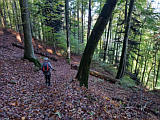 Herbstwald oberhalb Breitlohn, Okt.2022