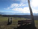 Alpenpanorama nach dem Wäldchen auf
                  der Bütschelegg