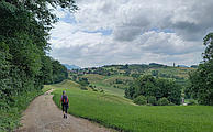 Wiesenwege bei Ober Selzach