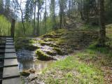 Tuffstein im Galterengraben