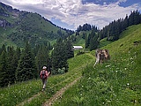 Weg zur Alphütte Obernüen. Links der Nüenchamm