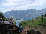 Aussichtsbank Im Dürren