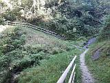 Waldtobel im Weeswald