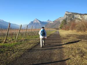 Weinwanderweg zwischen Bovel und Fläsch, Dez
                  2016