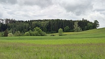 Blick Richtung S�dwest ab Waldecke, Foto Alfred Reist