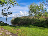 am Hallwilersee S�dufer, Mai 2026