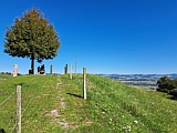 Aussichtsbank bei Rossweid, Sep.25