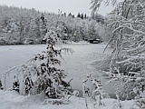 Baholzweiher im Winter, Jan.2025