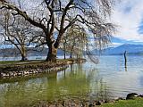 Cham am Zugersee, M�rz 2026