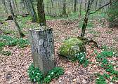 der Graue Stein, ein Findling aus der Eiszeit, April 2023