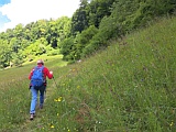 Feuchtwiese mit sch�ner Flora, Mai 2026