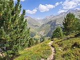 Föhren und Arven, Blick ins Val da Rafegs-ch