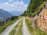 Forstweg Nähe Alp Darlux