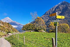 Fottigen (auch Fotigen), Okt.2025 Fottigen (auch Fotigen), Okt.2025