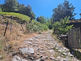 alter Sumerweg am Kulturweg St.German - Ausserberg, Juni 25