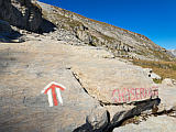 gut markiert zum Ch�serrugg