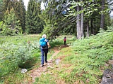 Hochmoor Boscobello