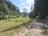 Juraweide bei La Combe
