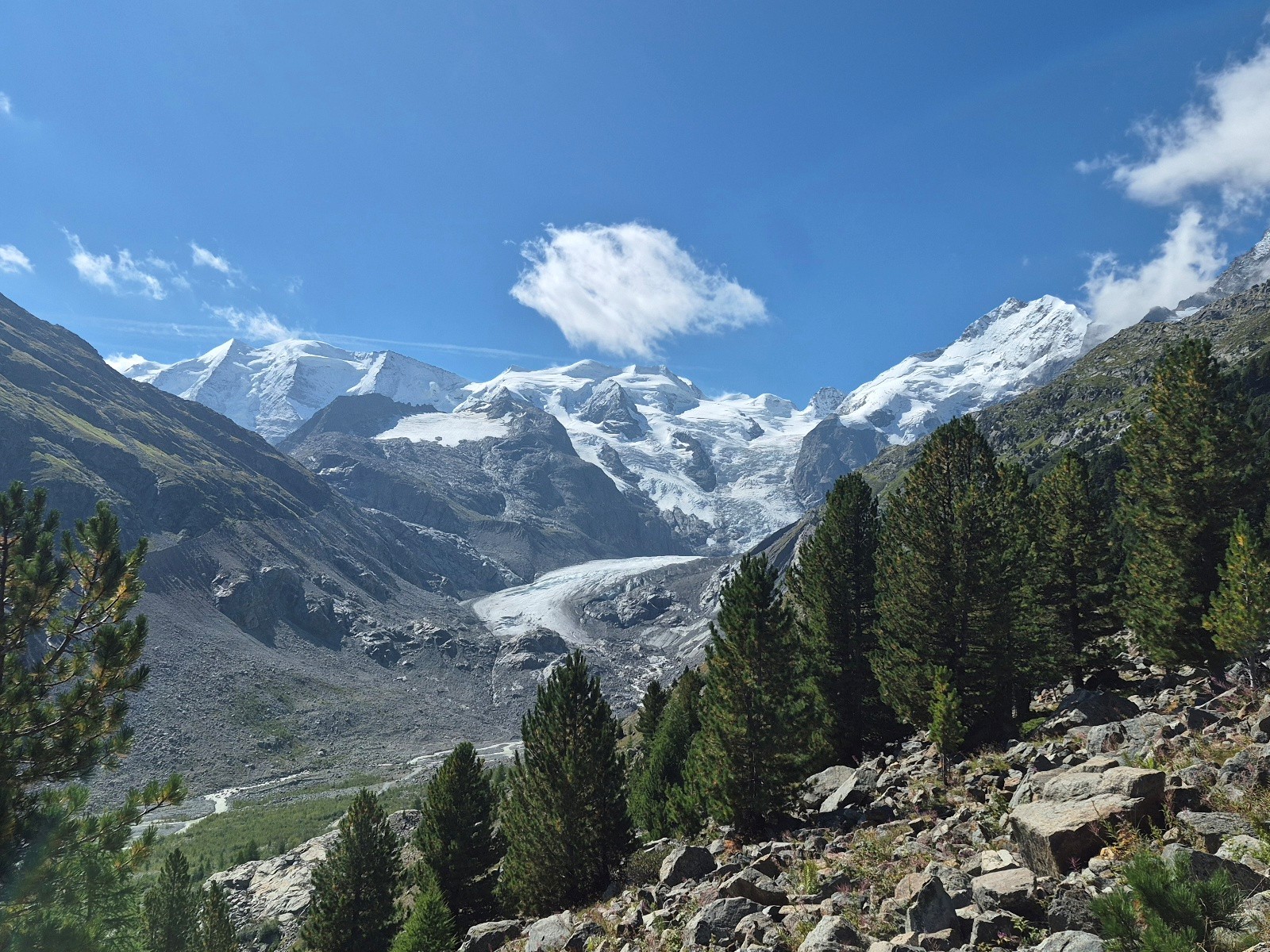 ob Morteratsch, Blick auf das Berninamassiv