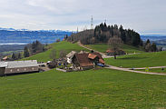 Orn unterhalb Bachtel, Aussicht auf Obersee und Alpen, Feb.2024